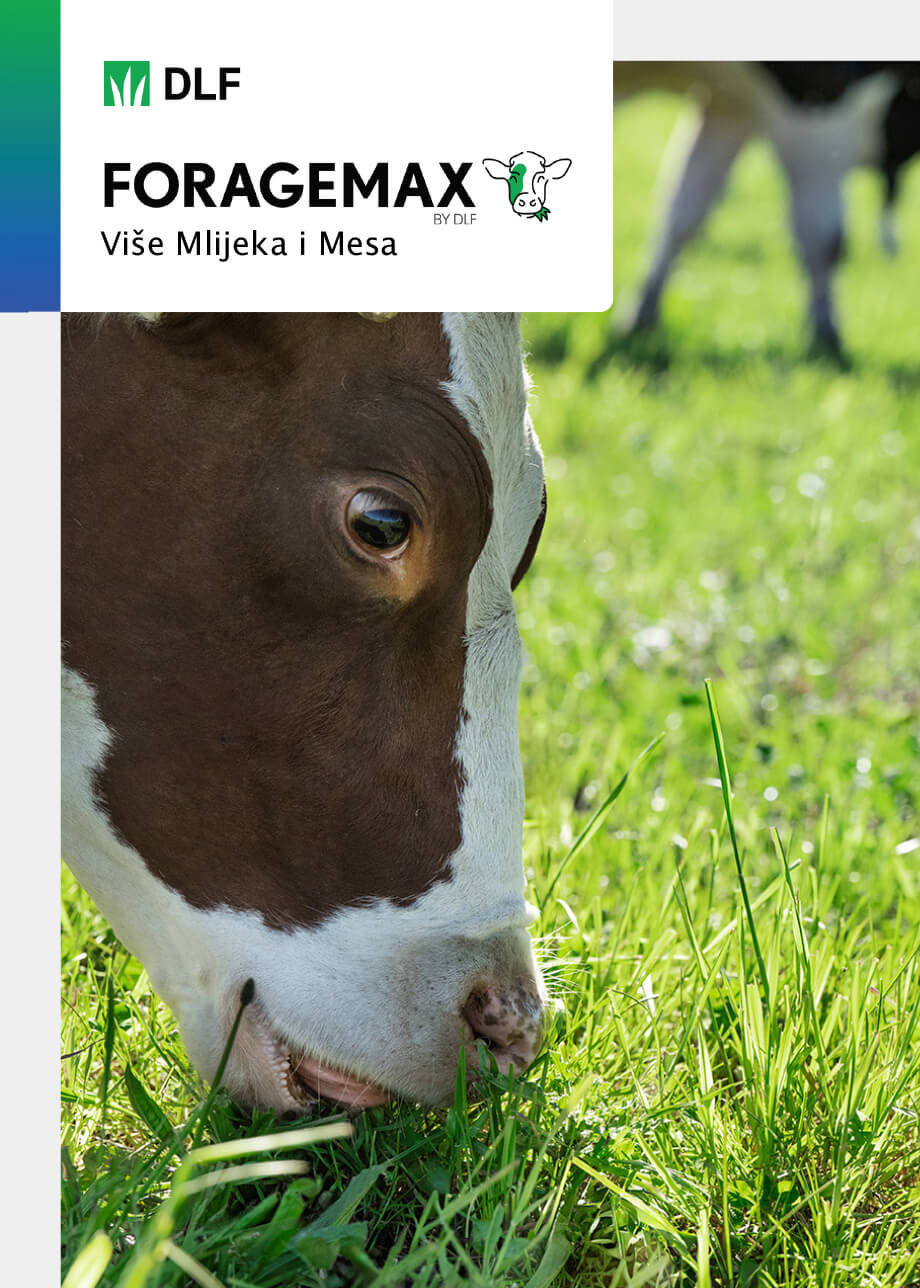 Foragemax